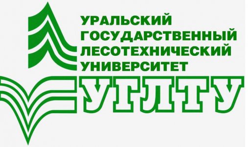 Информационный день Уральского государственного лесотехнического университета