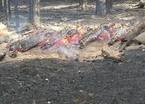 В Чайковском начался пожароопасный период
